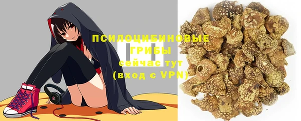 экстази Ельня